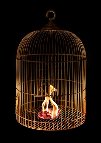One must burn to mature
